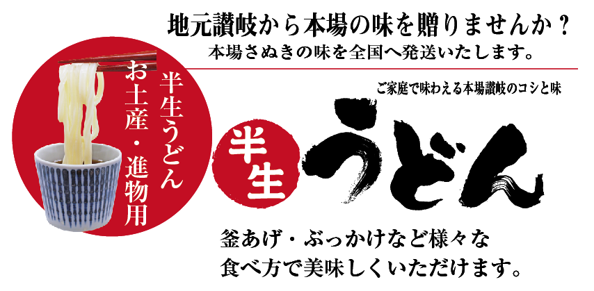 半生うどん