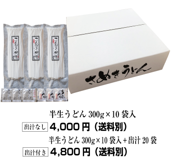 半生うどん10袋入り